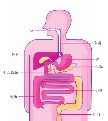 图片.png