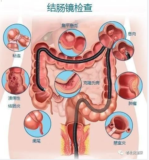 图片.png