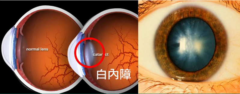 6009fcce5105e657ce73b7db9ec3c43.png