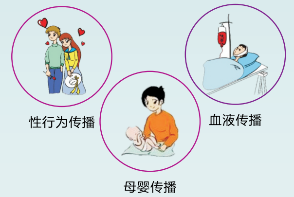 31c69a80a849a59298c756259c30d0c4.png